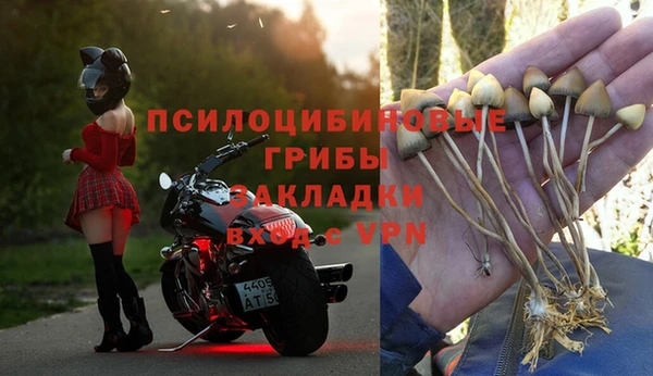a pvp Абинск