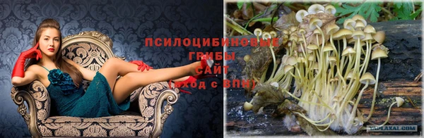 метадон Абаза