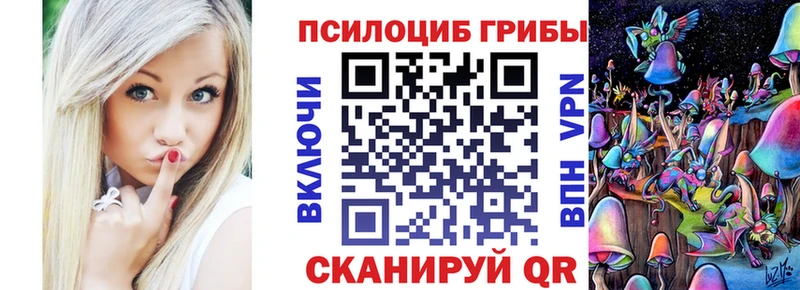 блэк спрут рабочий сайт  Горбатов  Псилоцибиновые грибы Psilocybine cubensis 